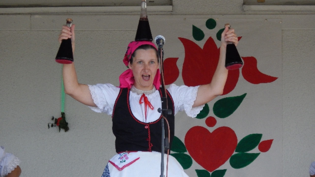 Deň obce - Falunap 2016  Deň obce - Falunap 2016